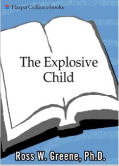 The Explosive Child A New Approach for Understanding (2025)